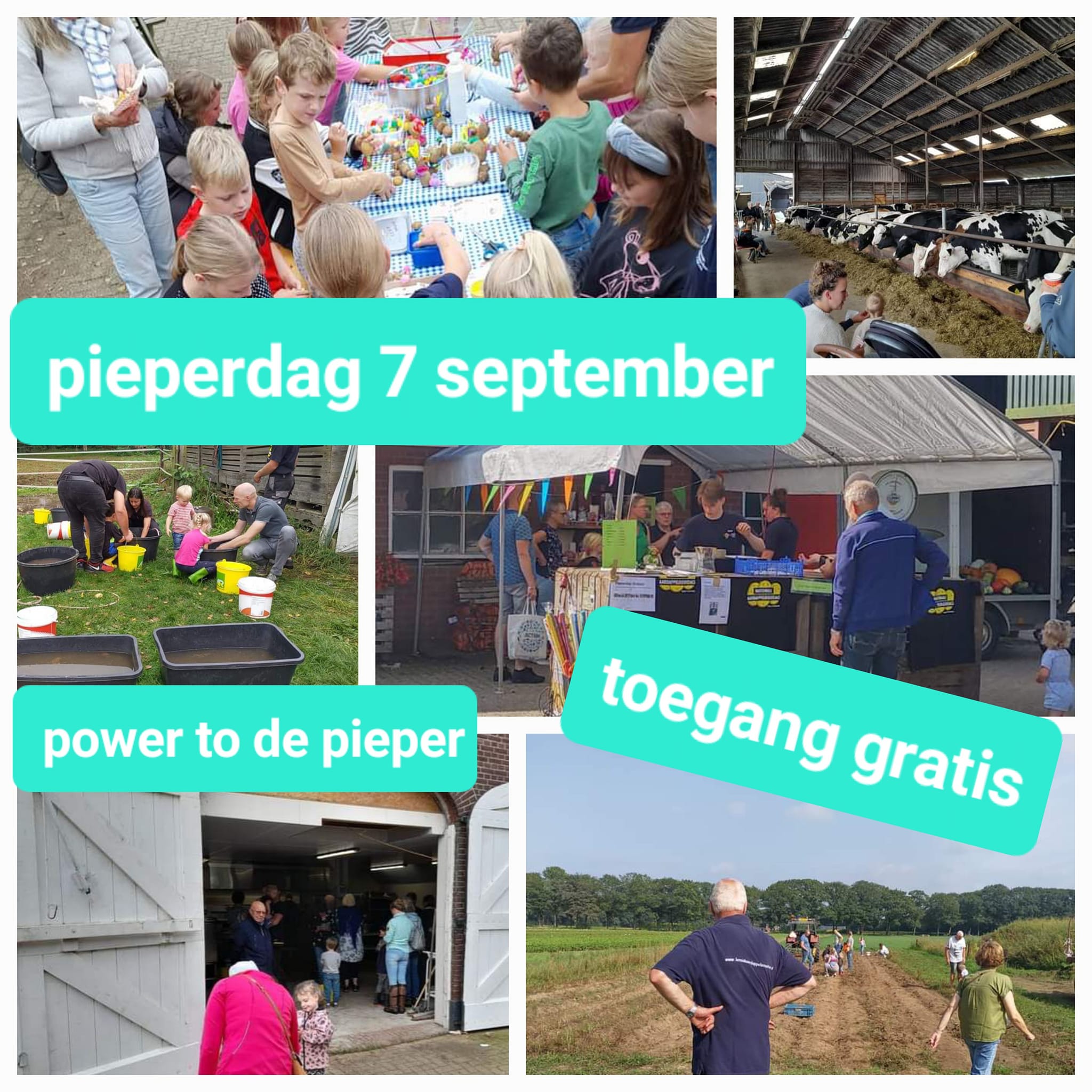 Open huis bij Boerderijwinkel Lensink: Pieperdag 2024.